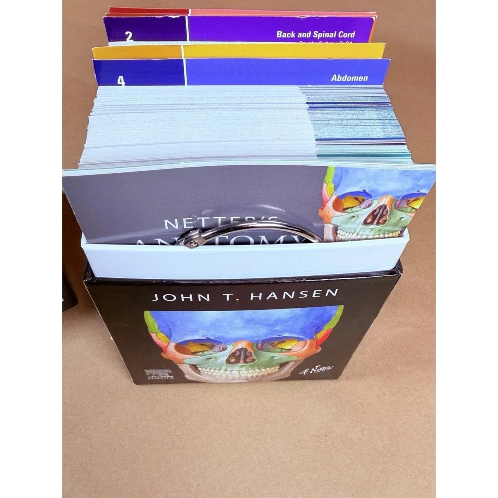 Netter's Anatomy Flash Cards 6th Edition John T Hansen Elsevier Medical Study